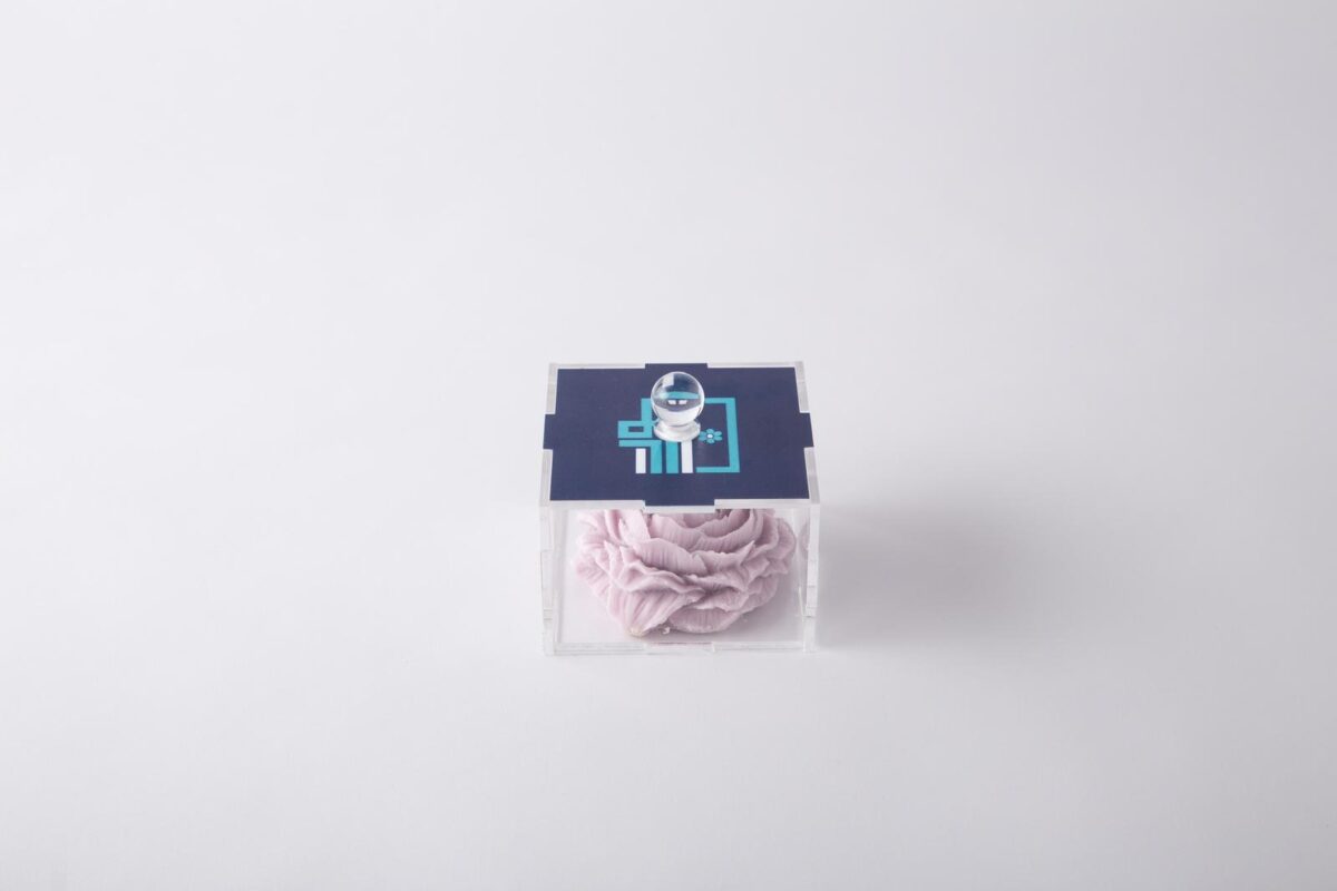 Datura rose scented candle, medium size - Image 3